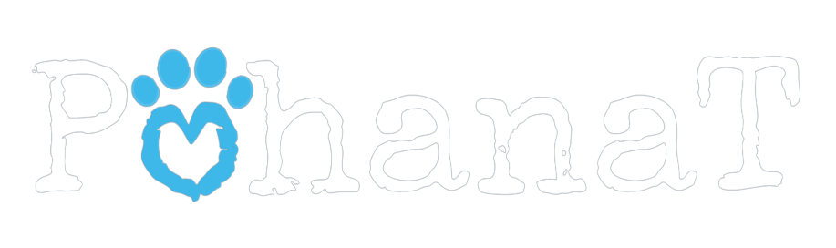 White PohanaT logo with transparent background