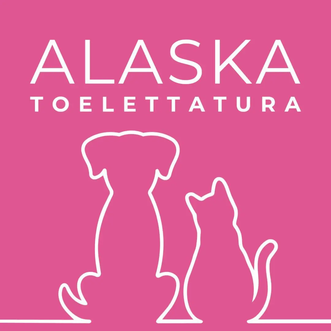 toelettatura alaska